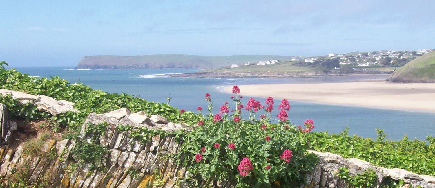 A view of Padstow from over a wall with flowers on it